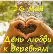 16 мая День любви к деревьям.