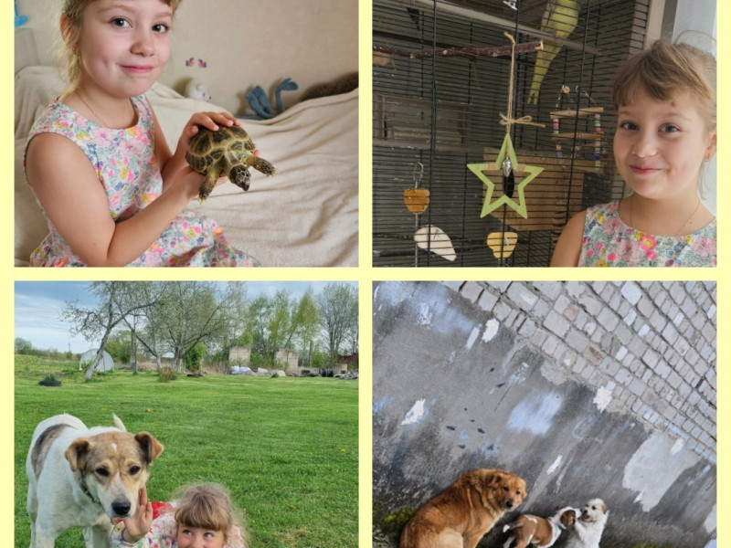 Всероссийский конкурс фотографий «Семейная жизнь домашних животных».